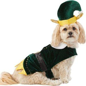 Merry & Bright 2 Piece Set Green Festive Elf Christmas Holiday Dog Costume LARGE